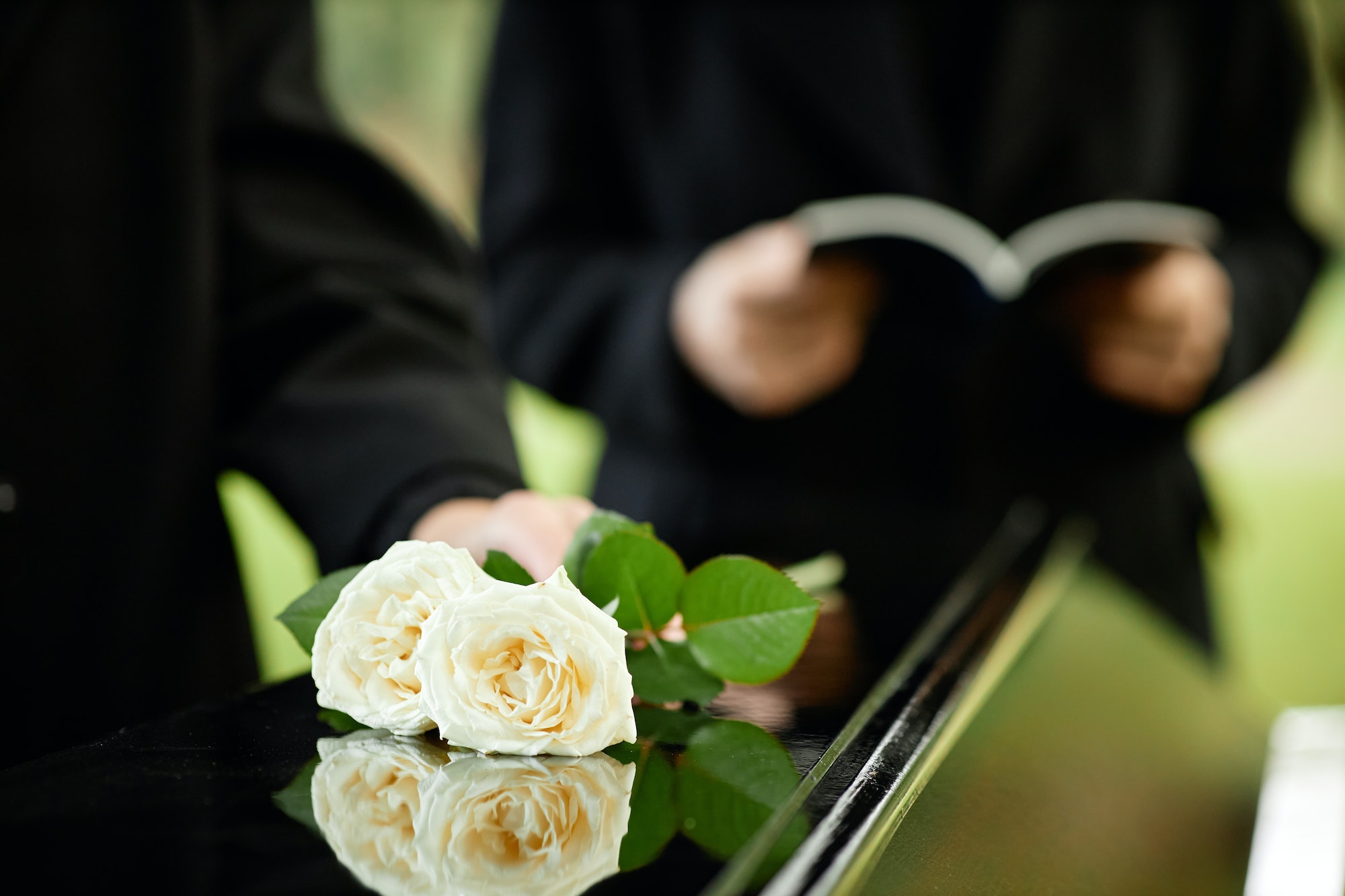 Close up of white roses on coffin