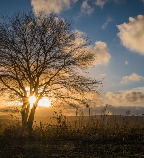 after work mood in the odenwald